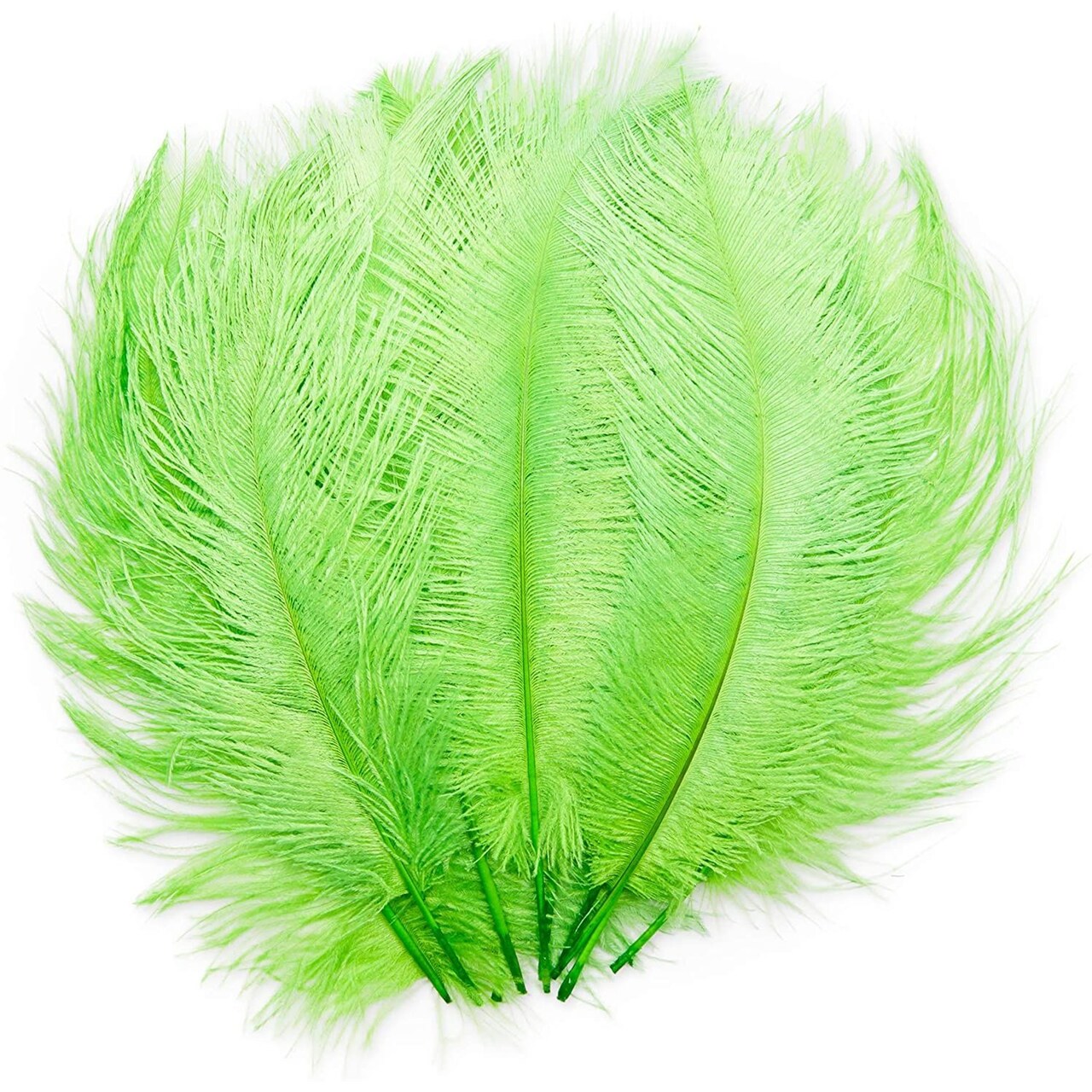 Ostrich Feather Plumes for Crafts, Wedding, Decor (Neon Green, 12-14 in, 12 Pack)